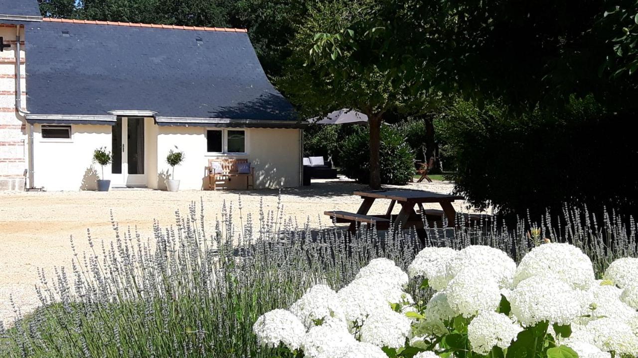 Chateau La Mothaye - Self Catering Apartments With Pool In The Loire Valley Les Bois-d'Anjou Exterior foto