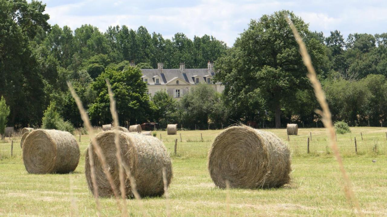 Chateau La Mothaye - Self Catering Apartments With Pool In The Loire Valley Les Bois-d'Anjou Exterior foto