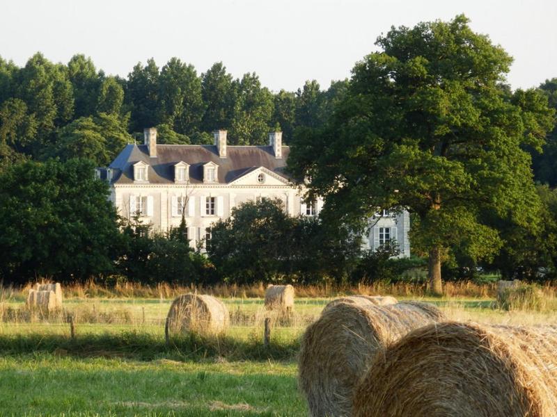 Chateau La Mothaye - Self Catering Apartments With Pool In The Loire Valley Les Bois-d'Anjou Zimmer foto